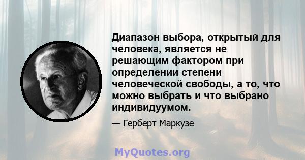 Диапазон выбора, открытый для человека, является не решающим фактором при определении степени человеческой свободы, а то, что можно выбрать и что выбрано индивидуумом.