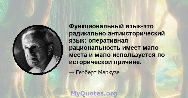 Функциональный язык-это радикально антиисторический язык: оперативная рациональность имеет мало места и мало используется по исторической причине.