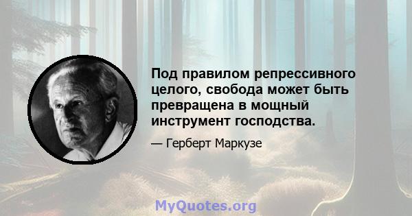 Под правилом репрессивного целого, свобода может быть превращена в мощный инструмент господства.