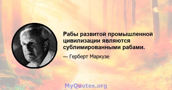 Рабы развитой промышленной цивилизации являются сублимированными рабами.