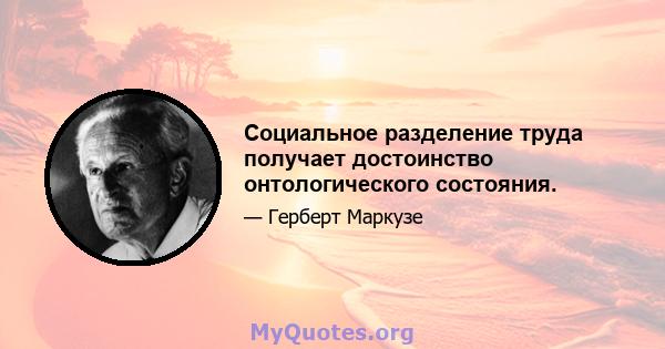 Социальное разделение труда получает достоинство онтологического состояния.