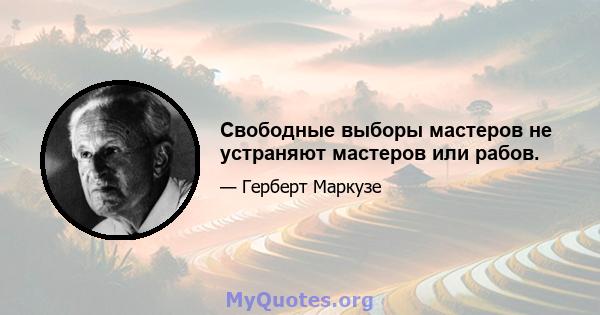 Свободные выборы мастеров не устраняют мастеров или рабов.