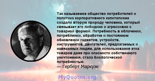 Так называемое общество потребителей и политика корпоративного капитализма создали вторую природу человека, который связывает его либидино и агрессивно с товарной формой. Потребность в облачении, потреблении, обработке