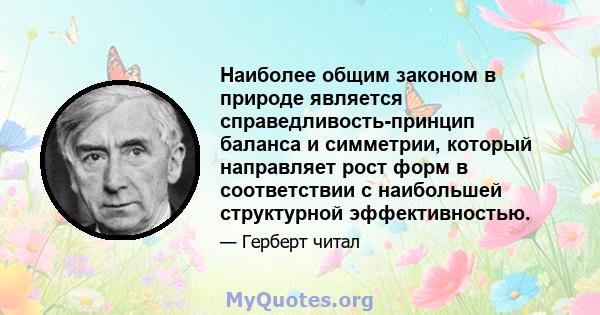 Наиболее общим законом в природе является справедливость-принцип баланса и симметрии, который направляет рост форм в соответствии с наибольшей структурной эффективностью.