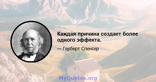 Каждая причина создает более одного эффекта.