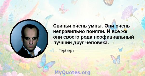 Свиньи очень умны. Они очень неправильно поняли. И все же они своего рода неофициальный лучший друг человека.