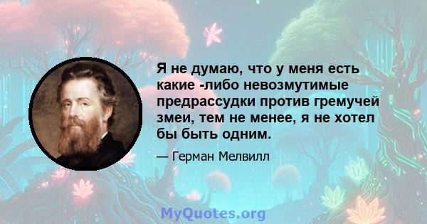 Я не думаю, что у меня есть какие -либо невозмутимые предрассудки против гремучей змеи, тем не менее, я не хотел бы быть одним.