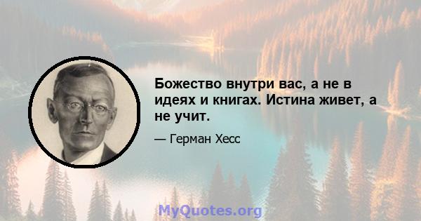 Божество внутри вас, а не в идеях и книгах. Истина живет, а не учит.