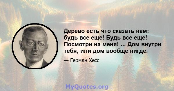 Дерево есть что сказать нам: будь все еще! Будь все еще! Посмотри на меня! ... Дом внутри тебя, или дом вообще нигде.