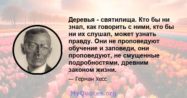 Деревья - святилища. Кто бы ни знал, как говорить с ними, кто бы ни их слушал, может узнать правду. Они не проповедуют обучение и заповеди, они проповедуют, не смущенные подробностями, древним законом жизни.