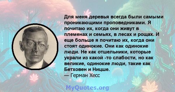 Для меня деревья всегда были самыми проникающими проповедниками. Я почитаю их, когда они живут в племенах и семьях, в лесах и рощах. И еще больше я почитаю их, когда они стоят одинокие. Они как одинокие люди. Не как