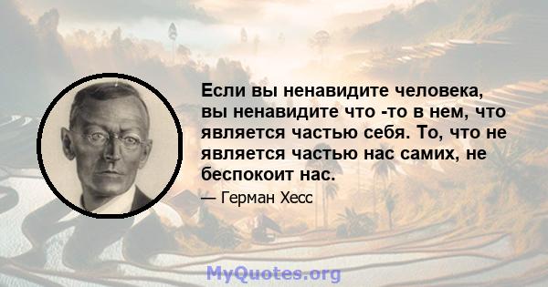 Если вы ненавидите человека, вы ненавидите что -то в нем, что является частью себя. То, что не является частью нас самих, не беспокоит нас.