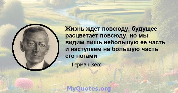 Жизнь ждет повсюду, будущее расцветает повсюду, но мы видим лишь небольшую ее часть и наступаем на большую часть его ногами