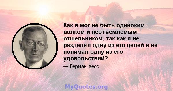 Как я мог не быть одиноким волком и неотъемлемым отшельником, так как я не разделял одну из его целей и не понимал одну из его удовольствий?