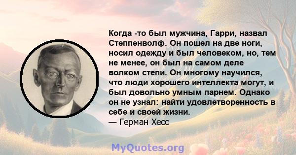 Когда -то был мужчина, Гарри, назвал Степпенволф. Он пошел на две ноги, носил одежду и был человеком, но, тем не менее, он был на самом деле волком степи. Он многому научился, что люди хорошего интеллекта могут, и был