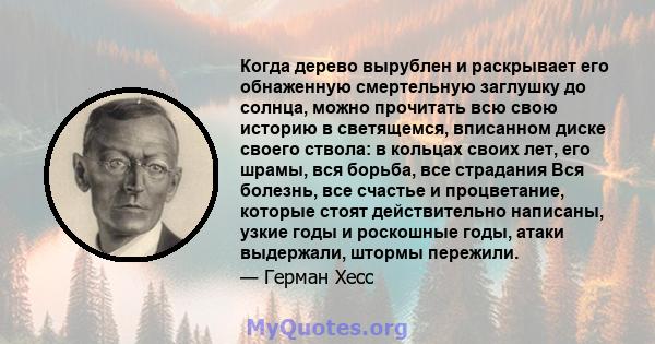 Когда дерево вырублен и раскрывает его обнаженную смертельную заглушку до солнца, можно прочитать всю свою историю в светящемся, вписанном диске своего ствола: в кольцах своих лет, его шрамы, вся борьба, все страдания