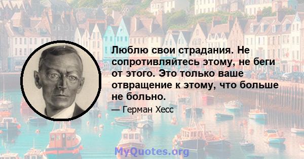 Люблю свои страдания. Не сопротивляйтесь этому, не беги от этого. Это только ваше отвращение к этому, что больше не больно.