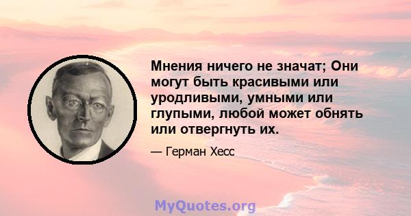 Мнения ничего не значат; Они могут быть красивыми или уродливыми, умными или глупыми, любой может обнять или отвергнуть их.