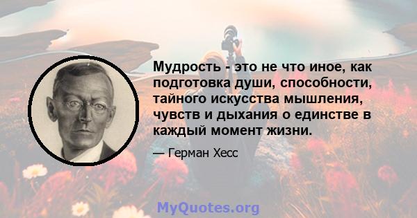 Мудрость - это не что иное, как подготовка души, способности, тайного искусства мышления, чувств и дыхания о единстве в каждый момент жизни.