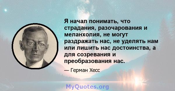 Я начал понимать, что страдания, разочарования и меланхолия, не могут раздражать нас, не уделять нам или лишить нас достоинства, а для созревания и преобразования нас.