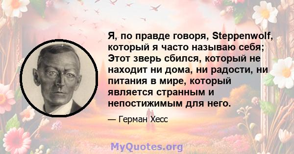 Я, по правде говоря, Steppenwolf, который я часто называю себя; Этот зверь сбился, который не находит ни дома, ни радости, ни питания в мире, который является странным и непостижимым для него.