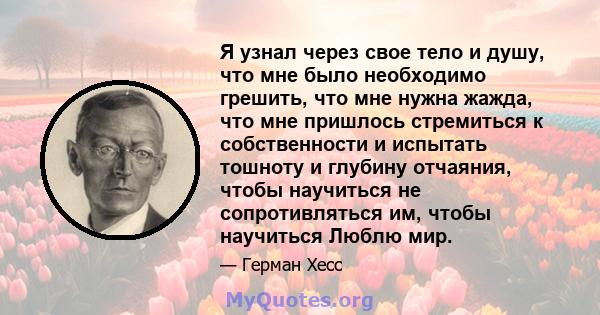 Я узнал через свое тело и душу, что мне было необходимо грешить, что мне нужна жажда, что мне пришлось стремиться к собственности и испытать тошноту и глубину отчаяния, чтобы научиться не сопротивляться им, чтобы