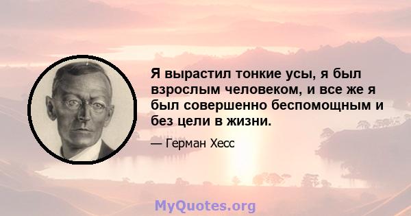 Я вырастил тонкие усы, я был взрослым человеком, и все же я был совершенно беспомощным и без цели в жизни.