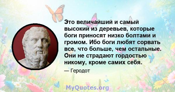 Это величайший и самый высокий из деревьев, которые боги приносят низко болтами и громом. Ибо боги любят сорвать все, что больше, чем остальные. Они не страдают гордостью никому, кроме самих себя.