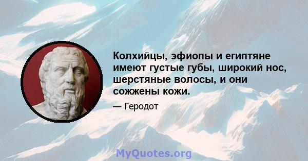 Колхийцы, эфиопы и египтяне имеют густые губы, широкий нос, шерстяные волосы, и они сожжены кожи.