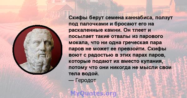 Скифы берут семена каннабиса, ползут под палочками и бросают его на раскаленные камни. Он тлеет и посылает такие отвалы из парового мокала, что ни одна греческая пара паров не может ее превзойти. Скифы воют с радостью в 