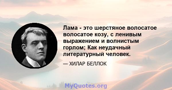 Лама - это шерстяное волосатое волосатое козу, с ленивым выражением и волнистым горлом; Как неудачный литературный человек.