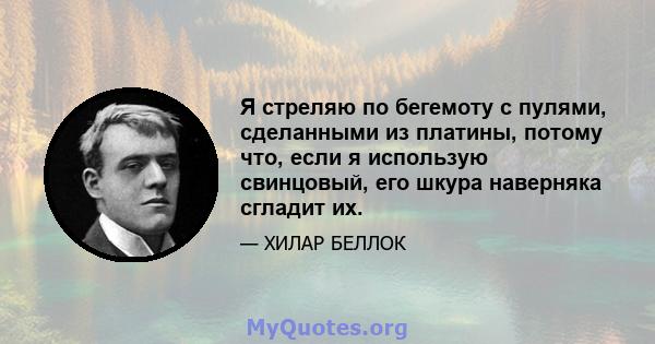 Я стреляю по бегемоту с пулями, сделанными из платины, потому что, если я использую свинцовый, его шкура наверняка сгладит их.