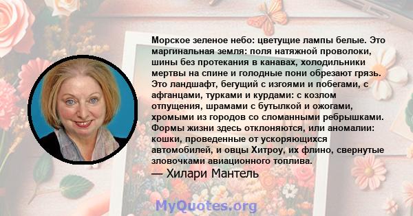 Морское зеленое небо: цветущие лампы белые. Это маргинальная земля: поля натяжной проволоки, шины без протекания в канавах, холодильники мертвы на спине и голодные пони обрезают грязь. Это ландшафт, бегущий с изгоями и