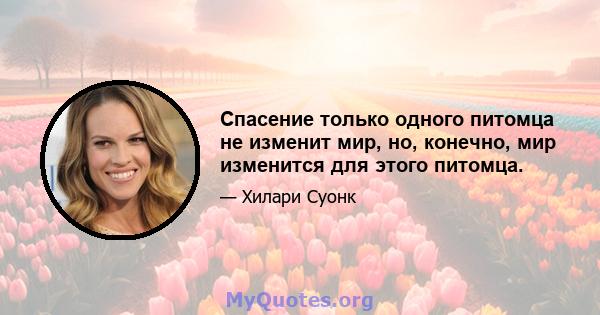 Спасение только одного питомца не изменит мир, но, конечно, мир изменится для этого питомца.