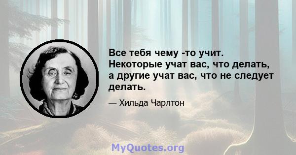 Все тебя чему -то учит. Некоторые учат вас, что делать, а другие учат вас, что не следует делать.