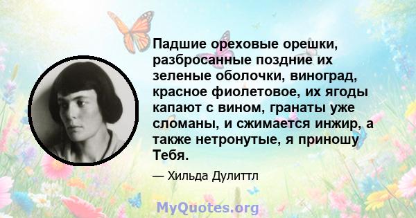 Падшие ореховые орешки, разбросанные поздние их зеленые оболочки, виноград, красное фиолетовое, их ягоды капают с вином, гранаты уже сломаны, и сжимается инжир, а также нетронутые, я приношу Тебя.