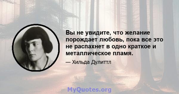 Вы не увидите, что желание порождает любовь, пока все это не распахнет в одно краткое и металлическое пламя.