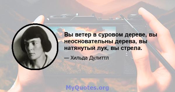 Вы ветер в суровом дереве, вы неосновательны дерева, вы натянутый лук, вы стрела.