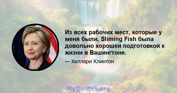 Из всех рабочих мест, которые у меня были, Sliming Fish была довольно хорошей подготовкой к жизни в Вашингтоне.