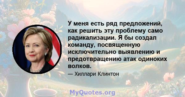 У меня есть ряд предложений, как решить эту проблему само радикализации. Я бы создал команду, посвященную исключительно выявлению и предотвращению атак одиноких волков.