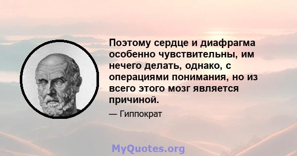 Поэтому сердце и диафрагма особенно чувствительны, им нечего делать, однако, с операциями понимания, но из всего этого мозг является причиной.