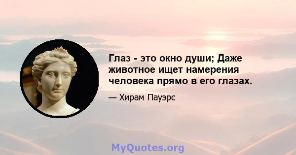 Глаз - это окно души; Даже животное ищет намерения человека прямо в его глазах.