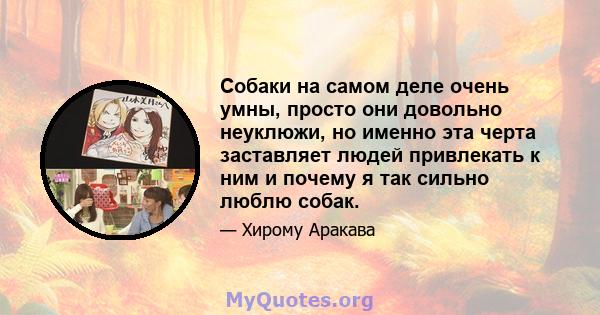 Собаки на самом деле очень умны, просто они довольно неуклюжи, но именно эта черта заставляет людей привлекать к ним и почему я так сильно люблю собак.