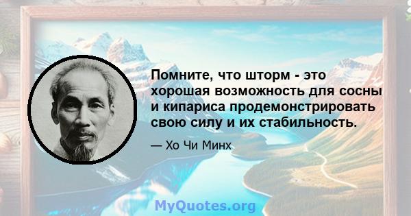 Помните, что шторм - это хорошая возможность для сосны и кипариса продемонстрировать свою силу и их стабильность.