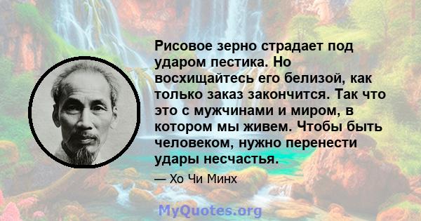 Рисовое зерно страдает под ударом пестика. Но восхищайтесь его белизой, как только заказ закончится. Так что это с мужчинами и миром, в котором мы живем. Чтобы быть человеком, нужно перенести удары несчастья.