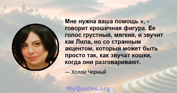 Мне нужна ваша помощь », - говорит крошечная фигура. Ее голос грустный, мягкий, и звучит как Лила, но со странным акцентом, который может быть просто так, как звучат кошки, когда они разговаривают.