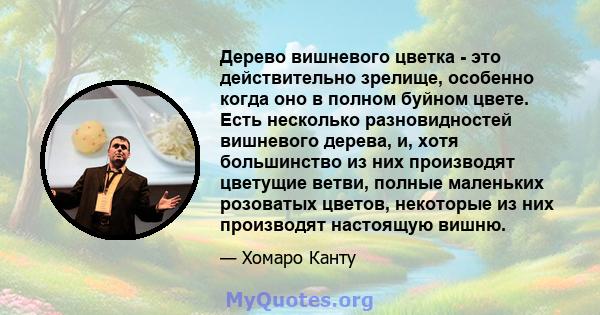 Дерево вишневого цветка - это действительно зрелище, особенно когда оно в полном буйном цвете. Есть несколько разновидностей вишневого дерева, и, хотя большинство из них производят цветущие ветви, полные маленьких