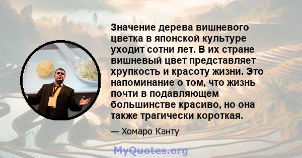 Значение дерева вишневого цветка в японской культуре уходит сотни лет. В их стране вишневый цвет представляет хрупкость и красоту жизни. Это напоминание о том, что жизнь почти в подавляющем большинстве красиво, но она