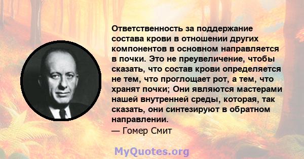 Ответственность за поддержание состава крови в отношении других компонентов в основном направляется в почки. Это не преувеличение, чтобы сказать, что состав крови определяется не тем, что проглощает рот, а тем, что