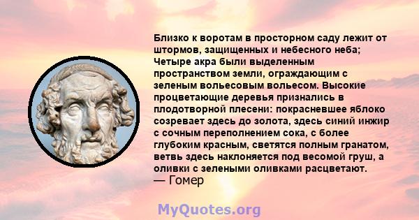 Близко к воротам в просторном саду лежит от штормов, защищенных и небесного неба; Четыре акра были выделенным пространством земли, ограждающим с зеленым вольесовым вольесом. Высокие процветающие деревья признались в